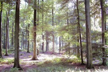 photo : Ben2~commonswiki (wikimedia.org) CC BY-SA 3.0